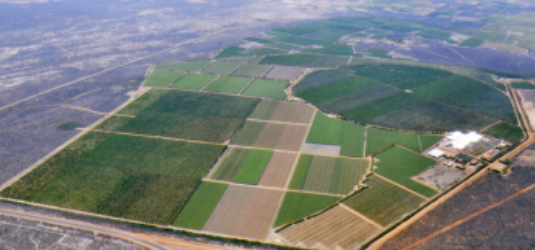 agrobras 2 - fazenda agrobras 2 - fazenda