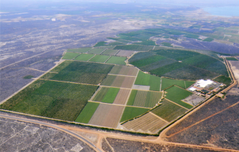 agrobras - fazenda agrobras - fazenda