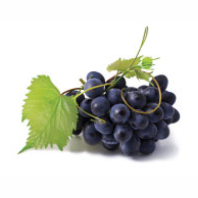 agrobras-uva-sweet-jubilee agrobras-uva-sweet-jubilee