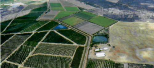 bestFrut 2 - fazenda bestFrut 2 - fazenda