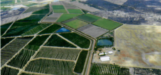 bestFrut 2 - fazenda bestFrut 2 - fazenda