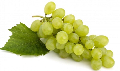 bundle-of-green-grapes_new bundle-of-green-grapes_new
