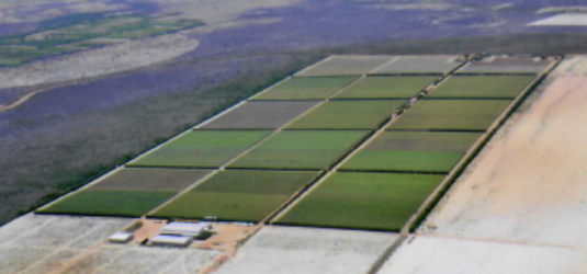 hidrotec 2 - fazenda hidrotec 2 - fazenda