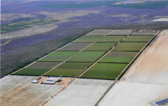 hidrotec - fazenda hidrotec - fazenda